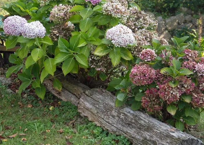 Pensión De La Abadia - Adults Only 3*